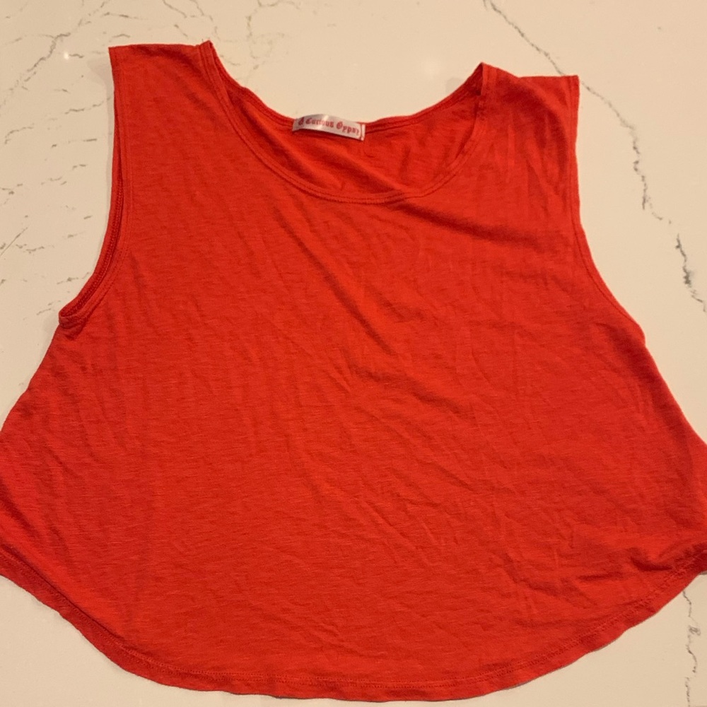 Curious Gypsy crop top